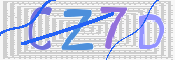 CAPTCHA 驗證圖片