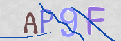 CAPTCHA 驗證圖片