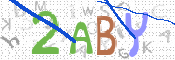 CAPTCHA 驗證圖片