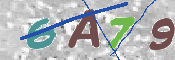CAPTCHA 驗證圖片