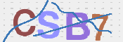 CAPTCHA 驗證圖片