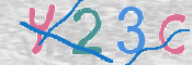 CAPTCHA 驗證圖片