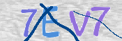 CAPTCHA 驗證圖片