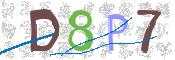 CAPTCHA 驗證圖片