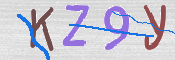 CAPTCHA 驗證圖片