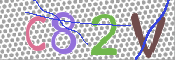 CAPTCHA 驗證圖片