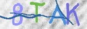 CAPTCHA 驗證圖片