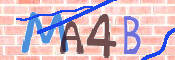 CAPTCHA 驗證圖片