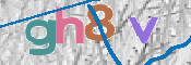 CAPTCHA 驗證圖片
