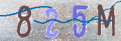 CAPTCHA 驗證圖片
