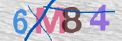 CAPTCHA 驗證圖片