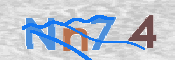 CAPTCHA 驗證圖片