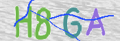 CAPTCHA 驗證圖片