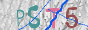 CAPTCHA 驗證圖片