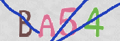 CAPTCHA 驗證圖片