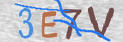 CAPTCHA 驗證圖片