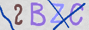 CAPTCHA 驗證圖片