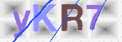 CAPTCHA 驗證圖片