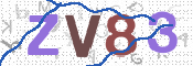 CAPTCHA 驗證圖片
