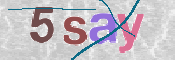 CAPTCHA 驗證圖片