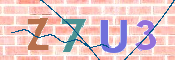 CAPTCHA 驗證圖片