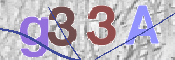CAPTCHA 驗證圖片
