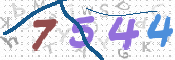 CAPTCHA 驗證圖片