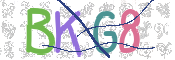 CAPTCHA 驗證圖片