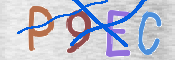 CAPTCHA 驗證圖片