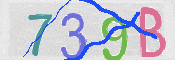 CAPTCHA 驗證圖片