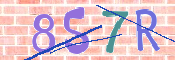 CAPTCHA 驗證圖片