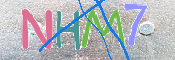 CAPTCHA 驗證圖片