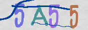 CAPTCHA 驗證圖片