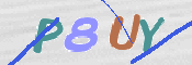 CAPTCHA 驗證圖片