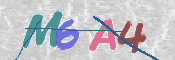 CAPTCHA 驗證圖片