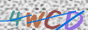 CAPTCHA 驗證圖片