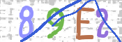CAPTCHA 驗證圖片