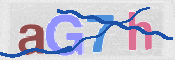 CAPTCHA 驗證圖片