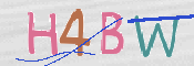 CAPTCHA 驗證圖片