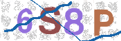 CAPTCHA 驗證圖片