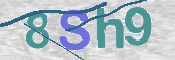 CAPTCHA 驗證圖片