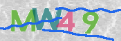 CAPTCHA 驗證圖片