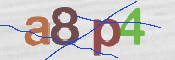 CAPTCHA 驗證圖片