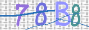 CAPTCHA 驗證圖片