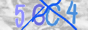 CAPTCHA 驗證圖片