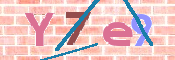 CAPTCHA 驗證圖片