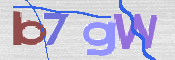 CAPTCHA 驗證圖片