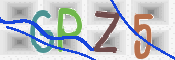 CAPTCHA 驗證圖片