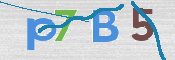 CAPTCHA 驗證圖片