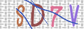 CAPTCHA 驗證圖片